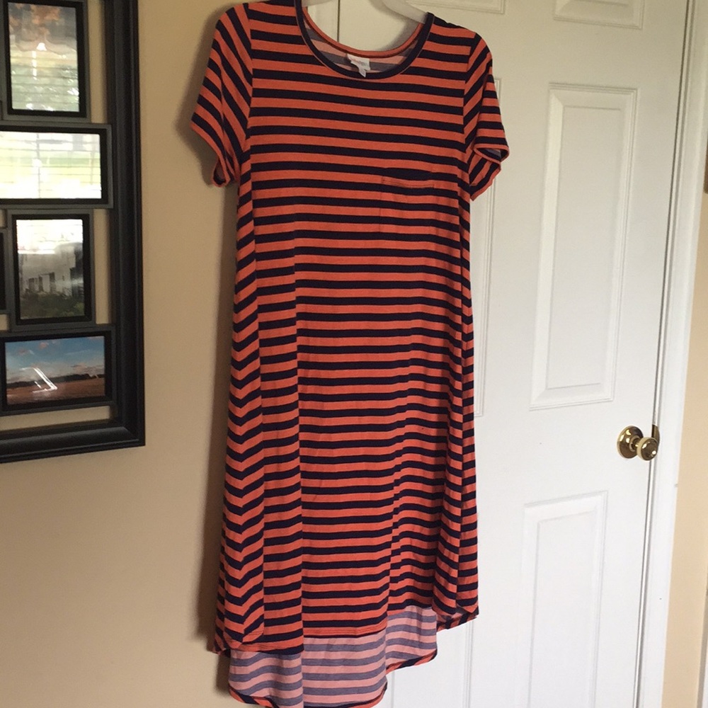Lg llr Carly striped dress